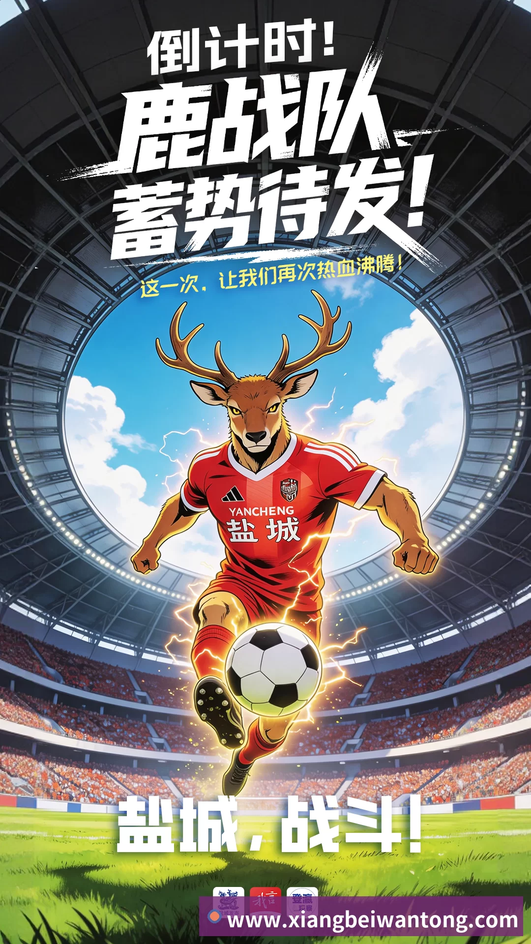 未来规划